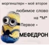 minions_is_love 13