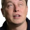 Elon Musk 11