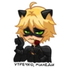 miraculous(.rina_irina._) 11