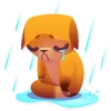 Moka the Dog 18