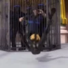 Miraculous meme (maryxzww) 13