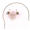 Little white seal 11