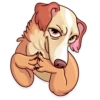 Moar Dog Memes 21