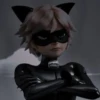 Это полный Miraculous 🗿 22