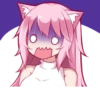 PinkPuni 20
