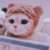 Meoww Pecc // 21