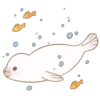Little white seal 12