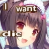 Nekopara | @nekoparaRU 23