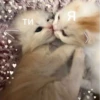 LoveForYou :: 7