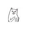 Mem 8