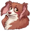 Moar Dog Memes 24