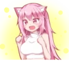 PinkPuni 28