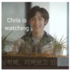 Chris is watching 심히해.. 지켜보고 있을게.