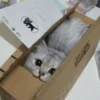 malle randomly animals pack 24