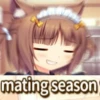 Nekopara | @nekoparaRU 27