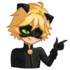miraculous(.rina_irina._) 20