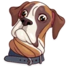 Moar Dog Memes 30