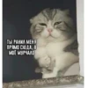 ТЫ РАНИЛ МЕНЯ ПРЯМО СЮДА, В МОЁ МУРЧАЛО