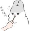 Machiko Rabbit 6