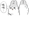 Machiko Rabbit 8