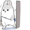 Machiko Rabbit 10