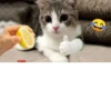 Мемные 3 6