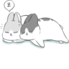 Machiko Rabbit 13