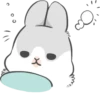 Machiko Rabbit 14