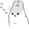 Machiko Rabbit 15
