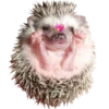 Мэкс 9