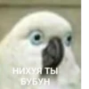 Memes semeM 3 by 11