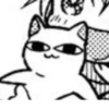meow 15