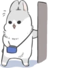 Machiko Rabbit 16