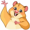 Mr. Hamster 12