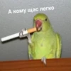 А кому щас легко
