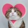 meow 13