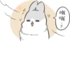 Machiko Rabbit 17
