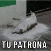 TU PATRONA