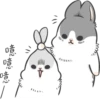 Machiko Rabbit 19