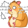 Mr. Hamster 13