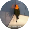 мне нужна help