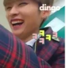StrayKids 15