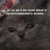 ну да ну да я же чьмо меня и проигнорировать можно