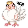 Fly 13