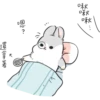 Machiko Rabbit 22