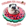 Мэкс 19