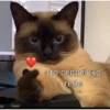 10 это сердешко тебе