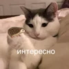 Мэкс 20