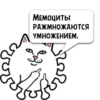Мемоцит @MemoCyteBot by 19