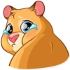 Mr. Hamster 22